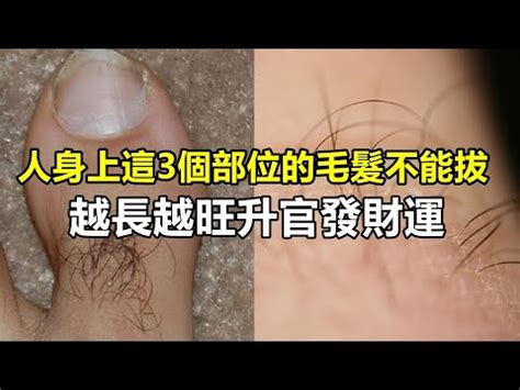 額頭 白毛|臉長白毛位置暗示何事？